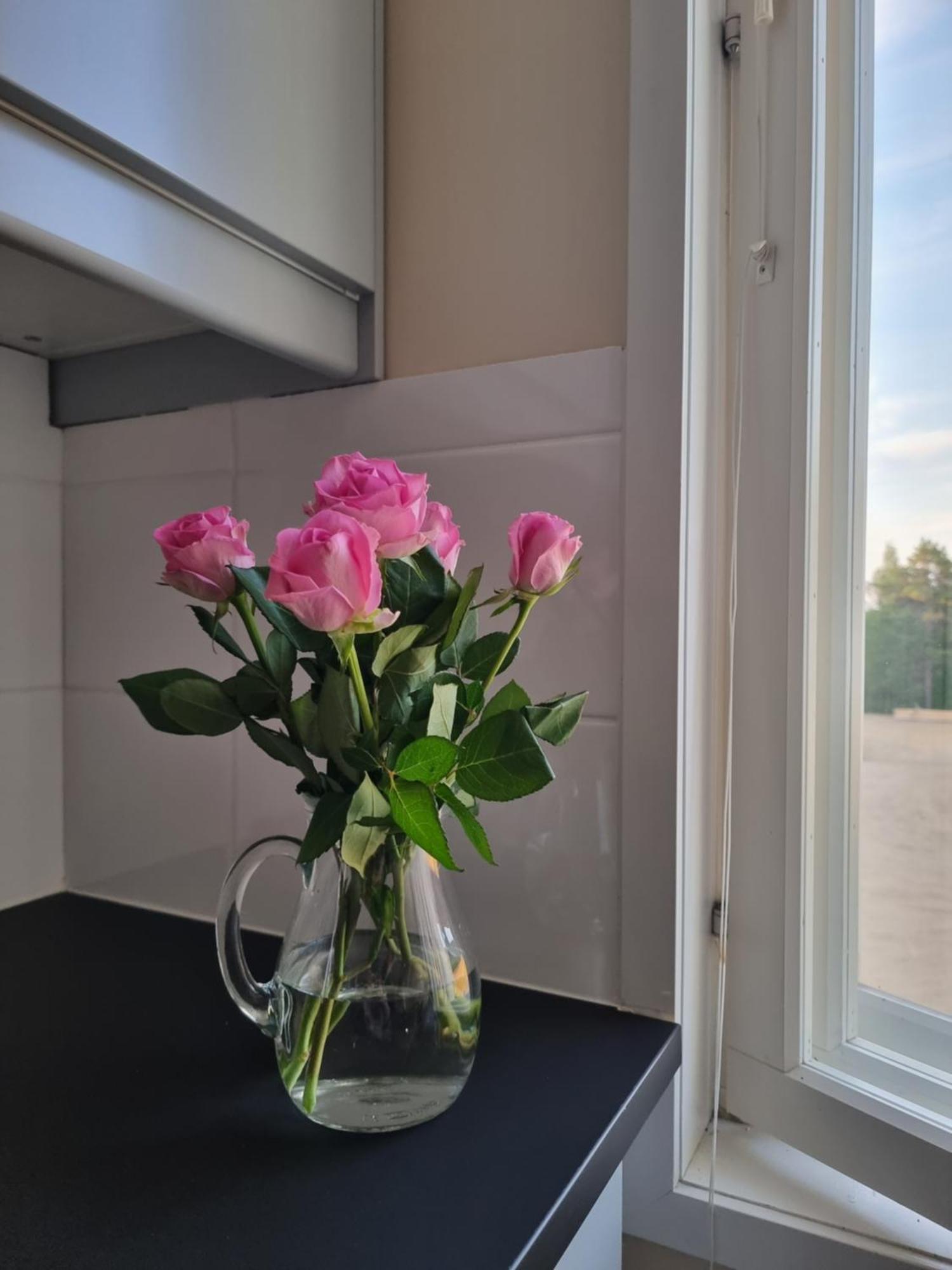 Kuukkeli Ivalo Airport Inn Esterno foto
